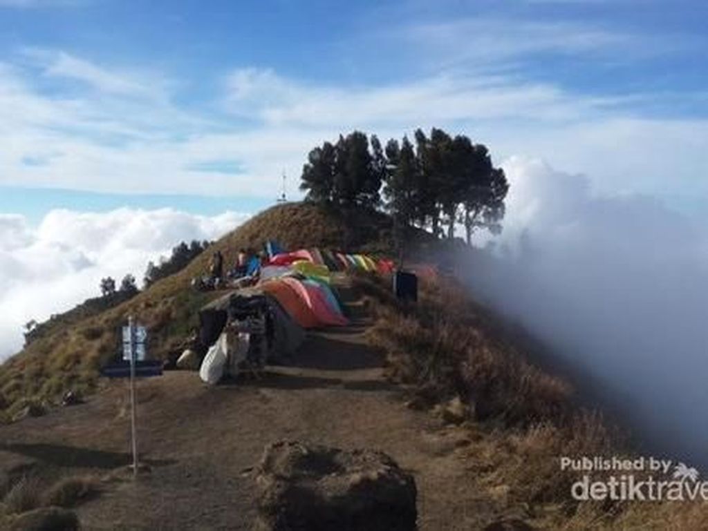 Viral Video Pendaki Gunung Dugem Massal Saat Kemping di Lombok