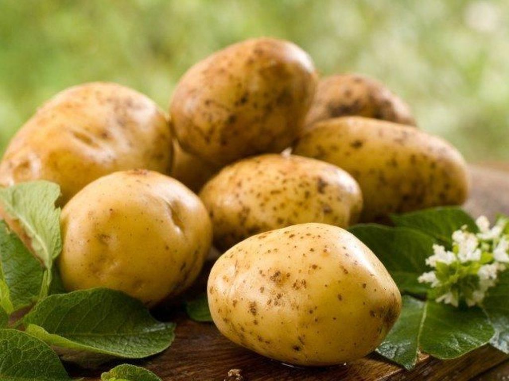 Apa Benar Diet Kentang Bisa Turunkan Berat Badan Lebih Cepat? Apa Benar Diet Kentang Bisa Turunkan Berat Badan Lebih Cepat?