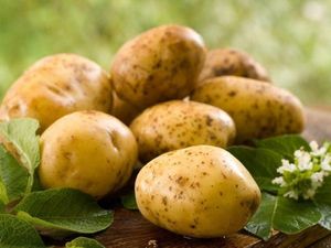 Apa Benar Diet Kentang Bisa Turunkan Berat Badan Lebih Cepat? Apa Benar Diet Kentang Bisa Turunkan Berat Badan Lebih Cepat?