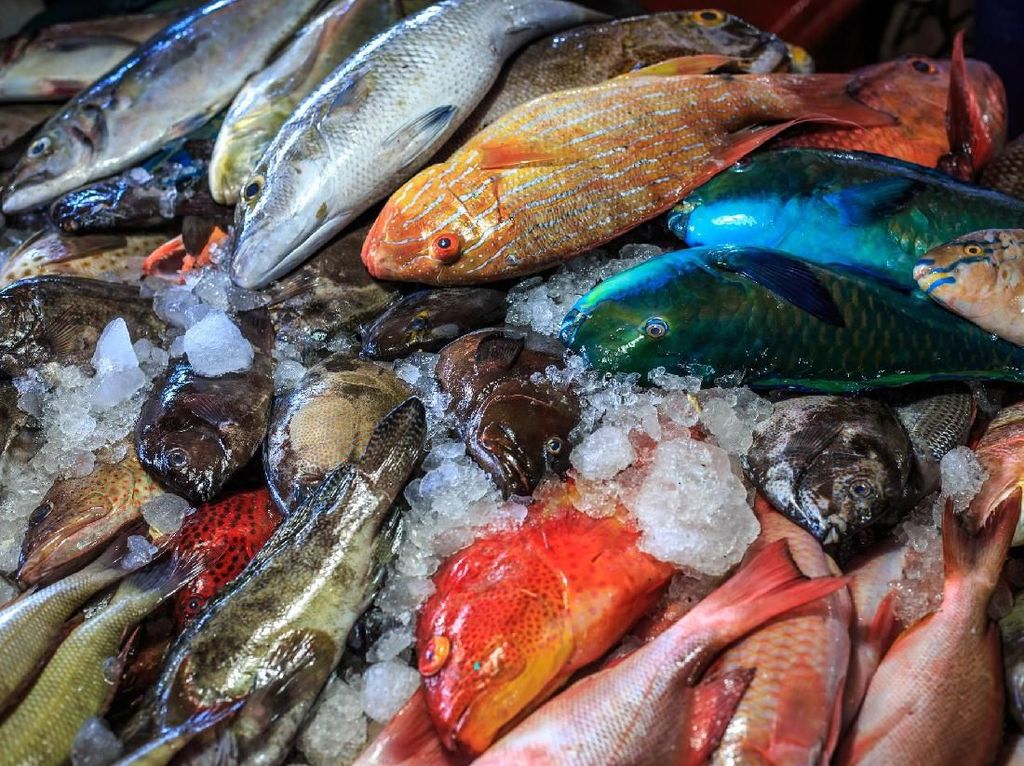 Jakarta Punya Banyak Pasar Ikan Modern Untuk Belanja Seafood Segar