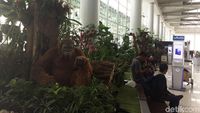 Asrinya Bandara Balikpapan, Ada Orang Utan Juga Lo