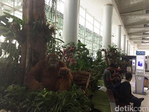 Asrinya Bandara Balikpapan, Ada Orang Utan Juga Lo