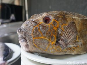 Ini 3 Ikan Makassar Paling Populer, Makin Enak Dimakan Bersama Sambal Khasnya