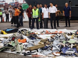 Direktur Teknik Dipecat karena Pesawat Jatuh, Lion Air Tunjuk Plt