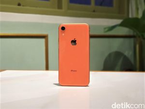 iPhone XR Jadi HP Terlaris Sejak Q4 2018 iPhone XR Jadi HP Terlaris Sejak Q4 2018