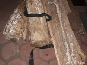 Upaya Keluarga Buamin Gagal karena Faktor Ini