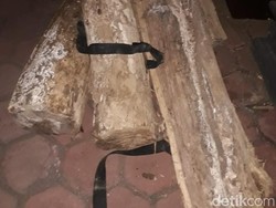 Upaya Keluarga Buamin Gagal karena Faktor Ini