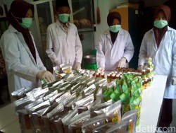 4 Remaja Kudus Ini Sulap Tanaman Liar Jadi Permen Berkhasiat