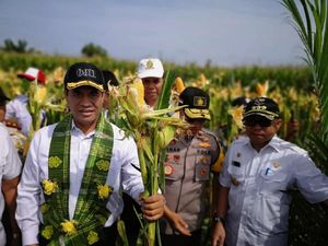 Meski Impor, Mentan Klaim RI Berhasil Swasembada Beras