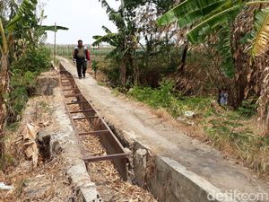 Talang Saluran Air Rusak, Puluhan Hektare Sawah di Brebes Terdampak