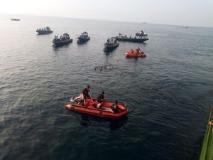 Mengenal Dekompresi, Kondisi yang Renggut Nyawa Penyelam Pencari Lion Air Mengenal Dekompresi, Kondisi yang Renggut Nyawa Penyelam Pencari Lion Air