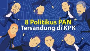 Politikus PAN yang Tersandung KPK