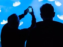 Kamera 48 Megapixel Akan Jadi Standar Ponsel Flagship 2019?