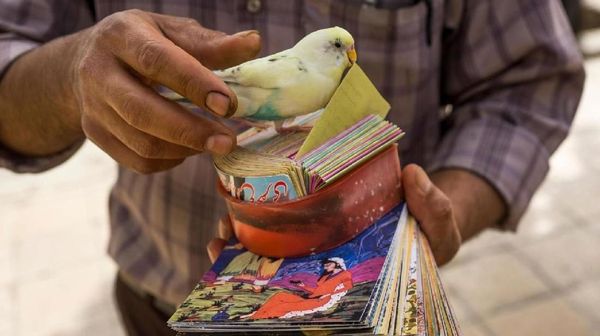 Sajak Keberuntungan dari Iran dalam Foto