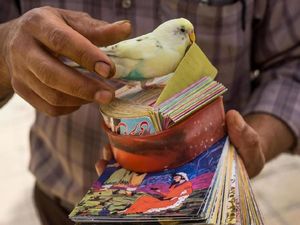 Sajak Keberuntungan dari Iran dalam Foto