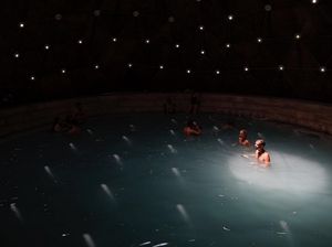 Potret Penangkaran Penyu di Turki