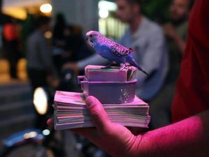 Sajak Keberuntungan dari Iran