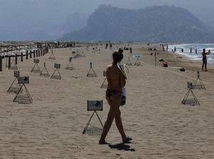 Cerita Turki Menyelamatkan Penyu