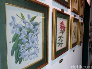 Belajar Komposisi dalam Mengambil Gambar Lewat Ponsel