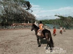 Serpihan Surga Itu Bernama Sumba