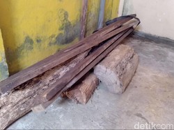 Perhutani Ngotot Kasus Kayu Lapuk Buamin Harus Diproses Hukum