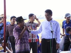 Kunjungi Kabupaten di Sulteng, Mentan: Panennya Tiada Henti