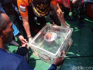 Selain FDR Black Box, Tim SAR Temukan Puing Besar Lion Air