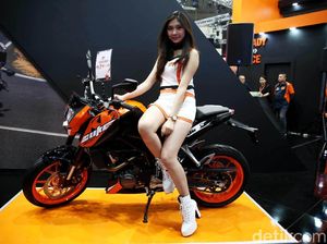 Gadis-gadis Cantik di IMOS Bikin Hati Adem Gadis-gadis Cantik di IMOS Bikin Hati Adem