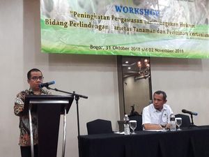 Berantas Benih Palsu, Kementan Perketat Pengawasan Izin Pertanian Berantas Benih Palsu, Kementan Perketat Pengawasan Izin Pertanian