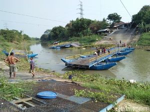 Diterjang Eceng Gondok, Jembatan Apung di Karawang Putus