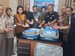 Penyelundupan Koral Ilegal 60 Kg Diamankan di Bandara Hasanuddin Penyelundupan Koral Ilegal 60 Kg Diamankan di Bandara Hasanuddin