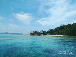 Pulau Pasoso, Rumahnya Penyu Hijau