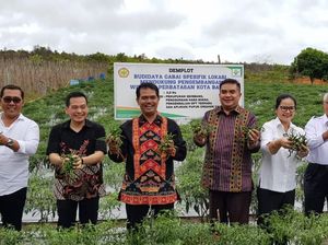 Tinjau Komoditas Pangan Strategis, DPR Kunjungi Kepri