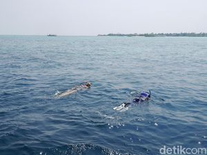 Asyik Snorkeling, Francisco Garcia Tewas Kena Baling-baling