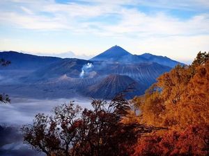 Berburu Sunrise yang Eksotik di Kawasan Bromo