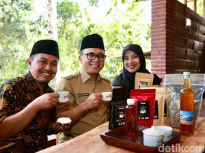 Kampung Lego, Wisata Kopi Asli Banyuwangi Kampung Lego, Wisata Kopi Asli Banyuwangi