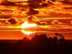 Indonesia Kena Gelombang Panas? Ini Penjelasan BMKG