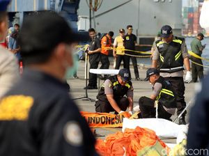 Daftar 14 Korban Lion Air PK-LQP yang Sudah Teridentifikasi