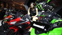 Gadis Cantik Geng Hijau Kawasaki