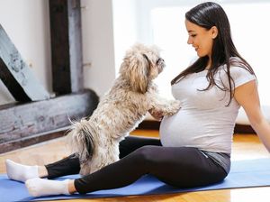 Bisakah Manusia Tertular Virus Corona dari Hewan Peliharaan?