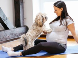 3 Hewan Peliharaan yang Baiknya Dijauhi Ibu Hamil