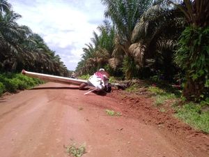 Pesawat Penabur Pupuk Jatuh di Ketapang, Tak Ada Korban Jiwa