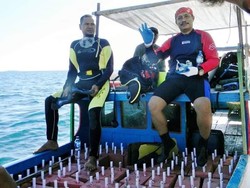 Penyelam Syachrul Gugur, Keluarga: Dia Bertugas Gantikan Teman