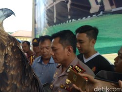 Polres Cirebon Ungkap Perdagangan Satwa Dilindungi Secara Online