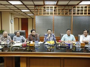 Penjelasan Lengkap Kementan soal Impor Jagung 100.000 Ton