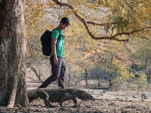 Tiket ke Pulau Komodo Boleh Dibikin Mahal, Tapi...
