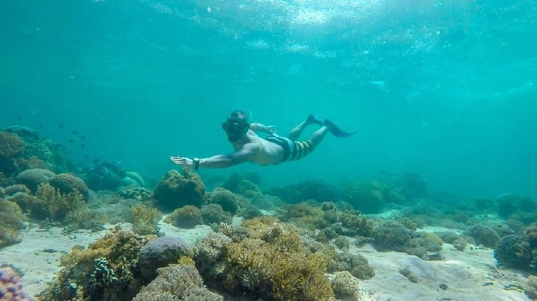 Foto: (My Trip My Adventure) Foto: (My Trip My Adventure)