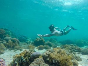 Ramai Ya! Sudah Lebih dari 26.000 Traveler Snorkeling-Diving di Labuan Bajo