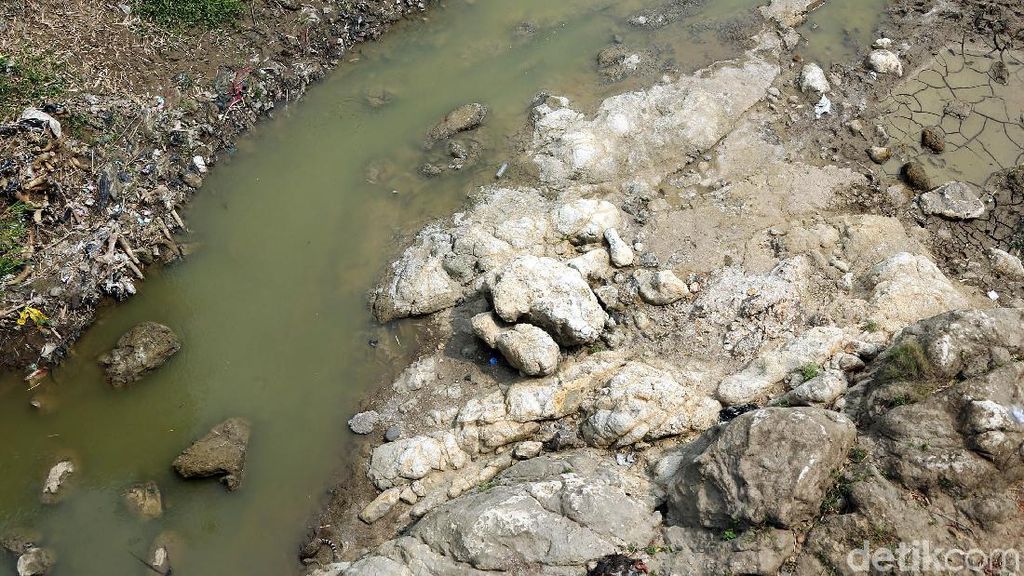 Musim Kemarau, Kali Cipamingkis Bekasi Surut Musim Kemarau, Kali Cipamingkis Bekasi Surut