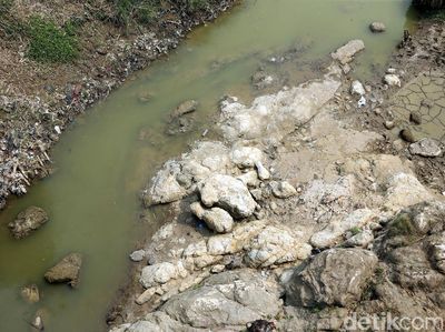 Musim Kemarau, Kali Cipamingkis Bekasi Surut